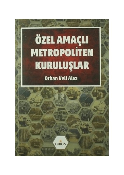 Özel Amaçlı Metropoliten Kuruluşlar