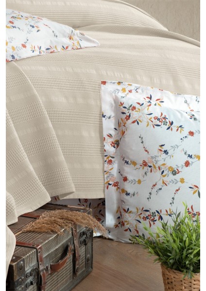 Vanneshome Canlı Renkli Pike Takımı