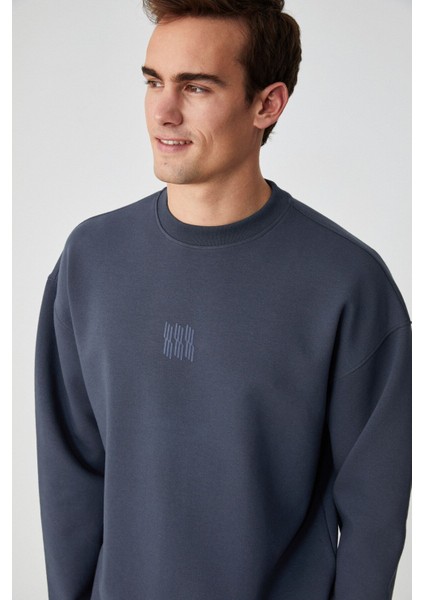 PLEMON Erkek Bisiklet Yaka Uzun Kol Baskı Detaylı Oversize Gri Sweatshirt modelleri