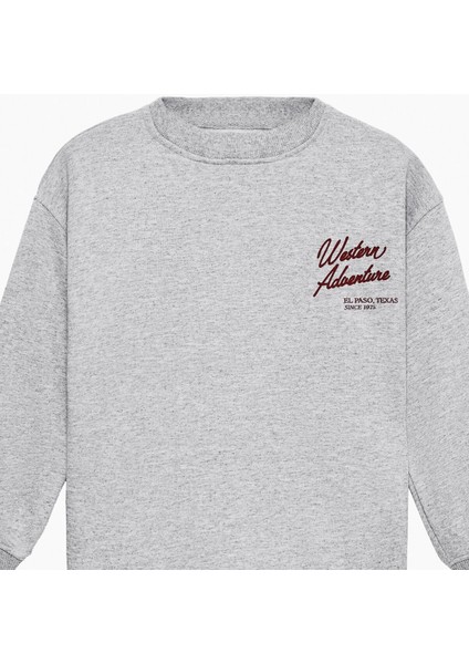 Chaca Erkek Çocuk Baskılı Grimelanj Sweatshirt fiyatları