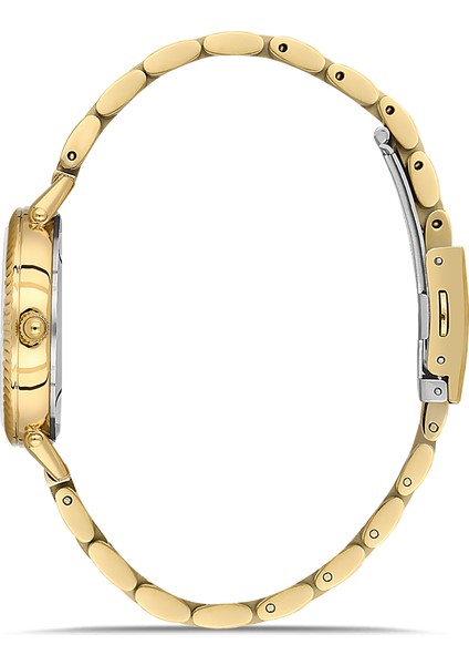 Davıd Guner Sarı Kaplamalı Beyaz Kadranlı Kadın Kol Saati DG-8644LA-B1 fiyatları