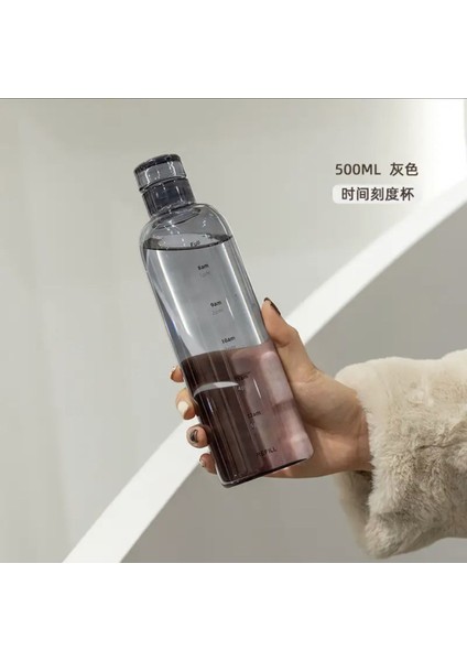 , Sağlıklı Cam Su Şişesi 500ML Motivasyonlu Sızdırmaz Matara Suluk Borosilikat Cam