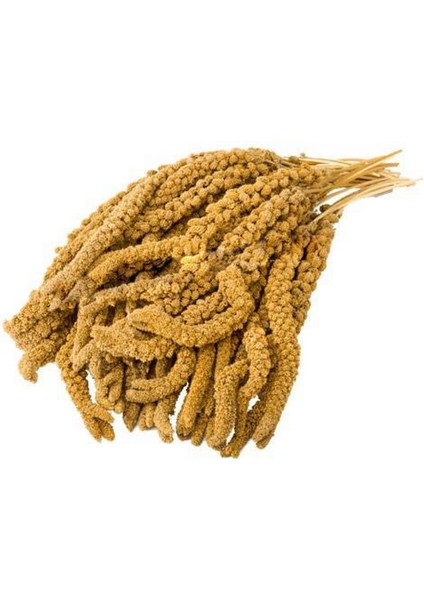 Sarı Dal Darı 1 kg Nrmsa