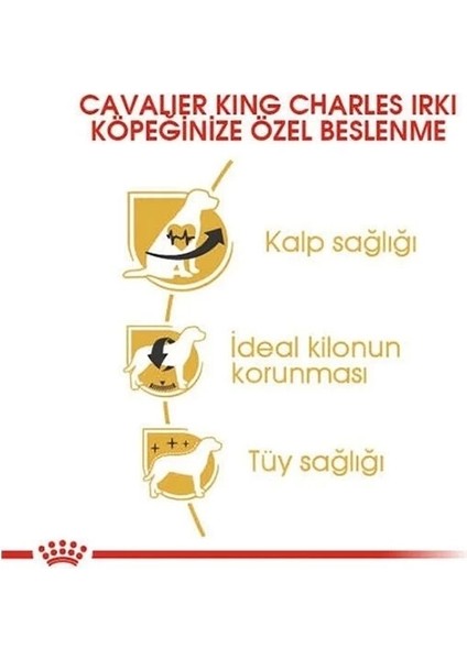 Royal Canin Cavalier King Charles Yetişkin Köpek Maması 1.5 kg