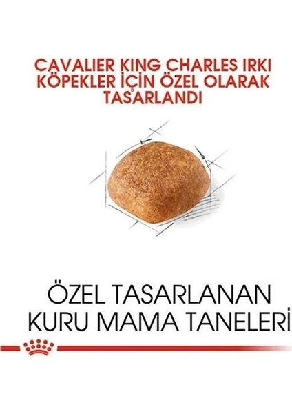 Royal Canin Cavalier King Charles Yetişkin Köpek Maması 1.5 kg