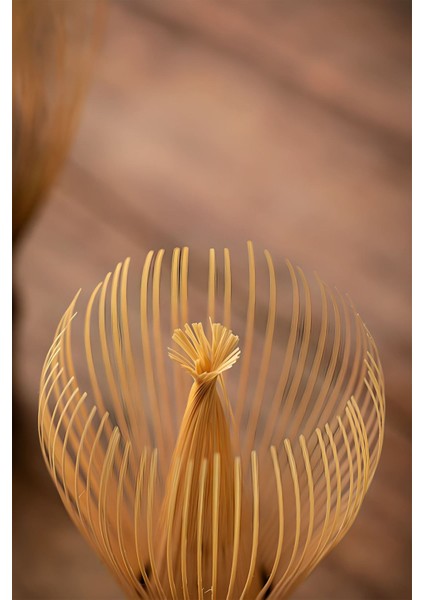 Shiratake Bambu Matcha Çayı Karıştırıcı Fırça Bamboo Whisk Köpürtücü MT207 fiyatları