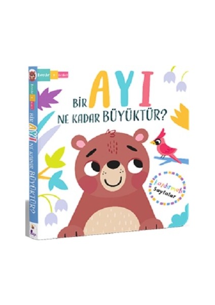 Bir Ayı Ne Kadar Büyüktür? – Kaydır + Keşfet (Ciltli)