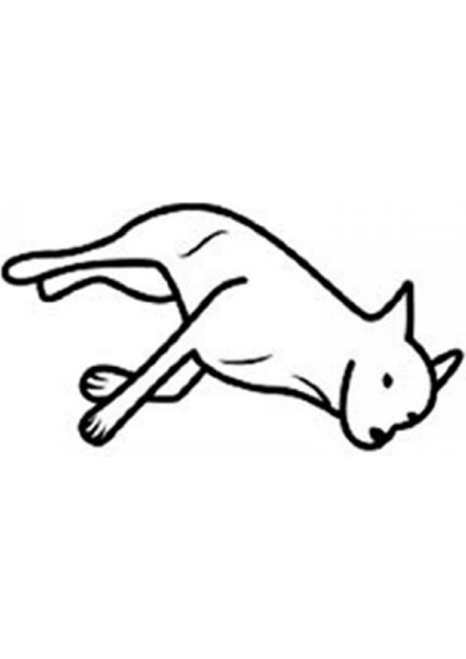 Lima Gri Köpek Yatağı M 90x60cm modelleri