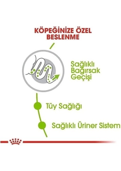 Royal Canin Xsmall Adult Yetişkin Köpek Maması 1.5 kg fırsatları