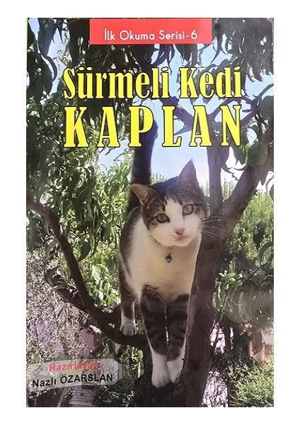 Sürmeli Kedi Kaplan