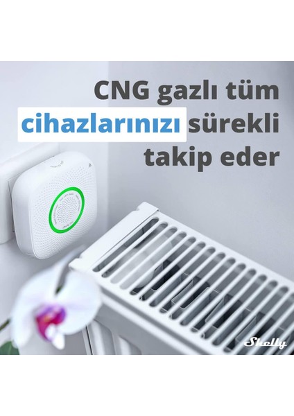 Gas Akıllı Cng Gaz Dedektörü fırsatları