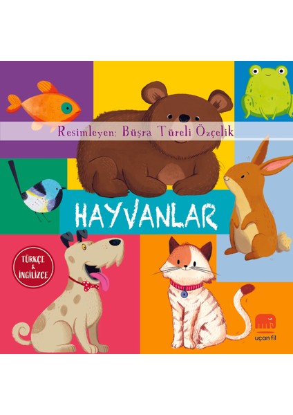 Hayvanlar (Board Book)