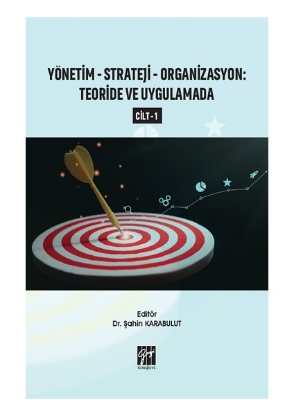 Yönetim - Strateji - Organizasyon Teoride ve Uygulamada (Cilt 1)