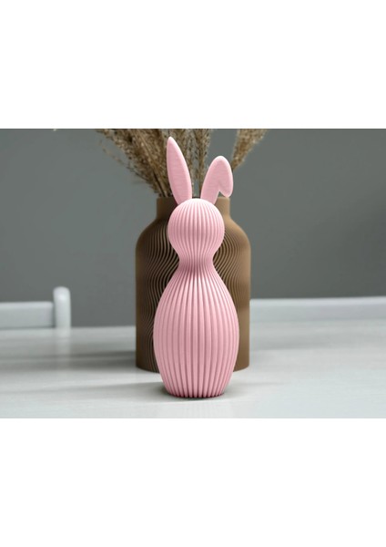 Pembe Çizgili Tavşan