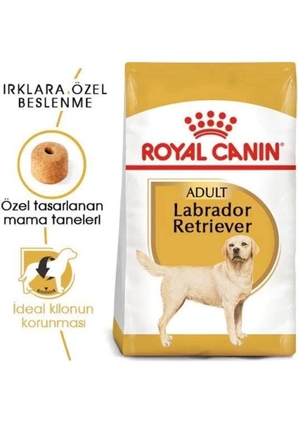 Royal Canin Labrador Retriever Yetişkin Köpek Maması 12 kg
