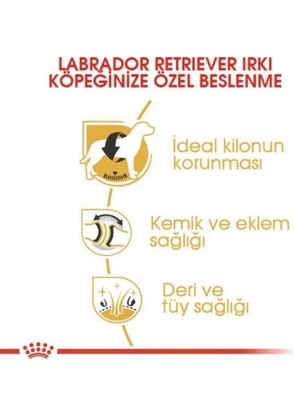 Royal Canin Labrador Retriever Yetişkin Köpek Maması 12 kg