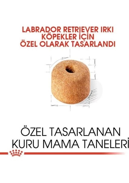 Royal Canin Labrador Retriever Yetişkin Köpek Maması 12 kg