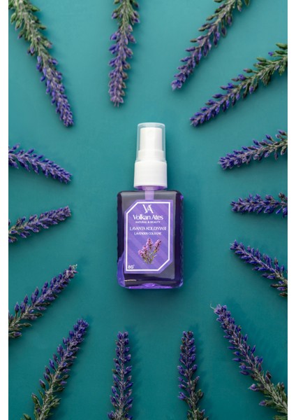 Parfümlü Kolonya - Lavanta 50 ml