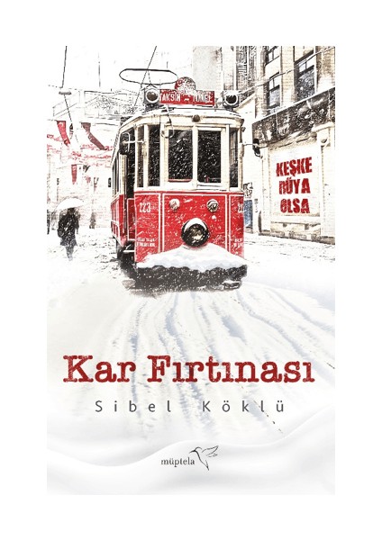 Kar Fırtınası