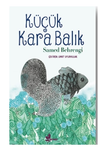 Küçük Kara Balık