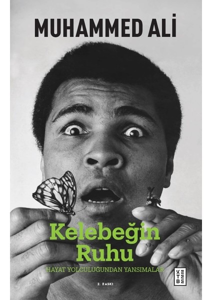 Kelebeğin Ruhu