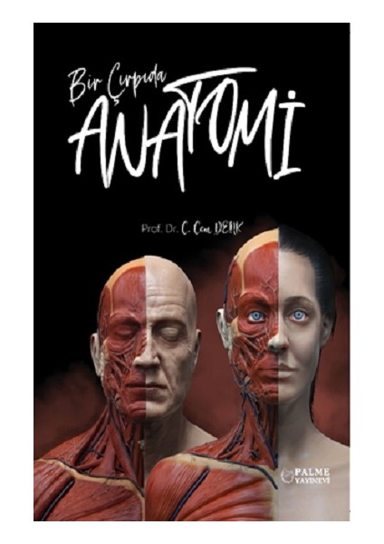 Bir Çırpıda Anatomi