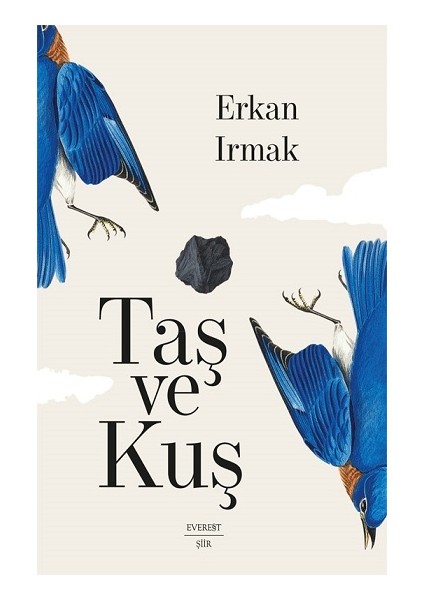 Taş ve Kuş