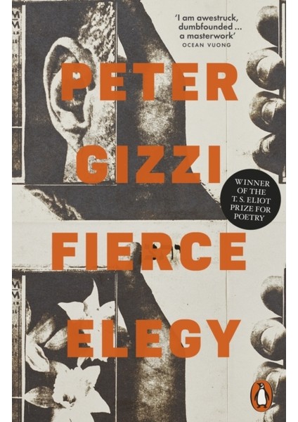 Fierce Elegy