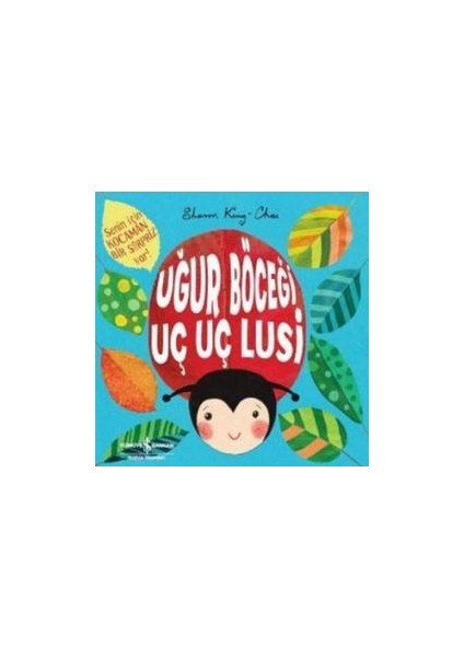 Uğur Böceği Uç Uç Lusi