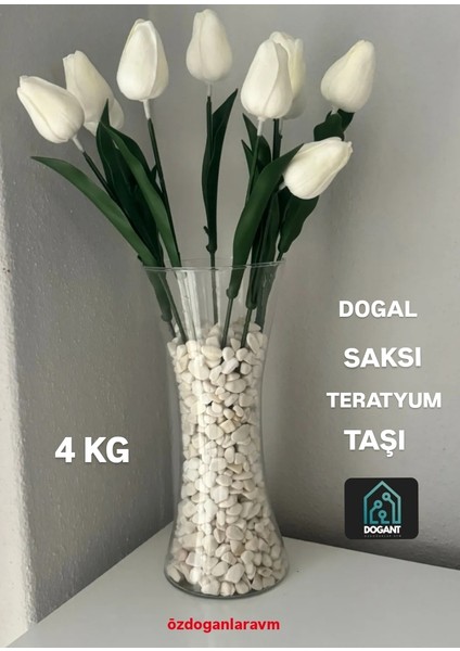 Beyaz Dolomit Taşı Bahçe Süs Akvaryum Taşı Dere Çakıl Taşı 4 kg