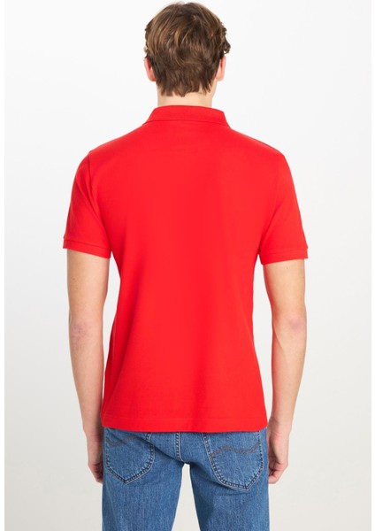 Erkek Regular Fit Polo T-Shirt Coral