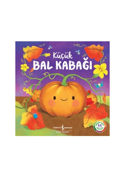 Küçük Bal Kabağı
