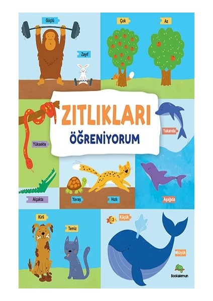 Zıtlıkları Öğreniyorum (Ciltli)