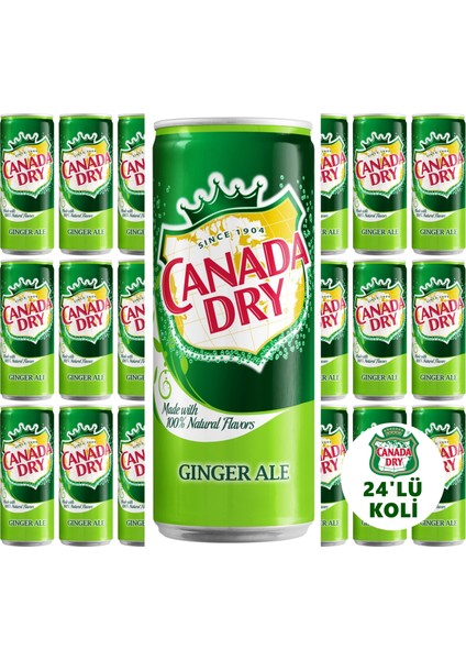 Ginger Ale 330ml 24'lü Koli