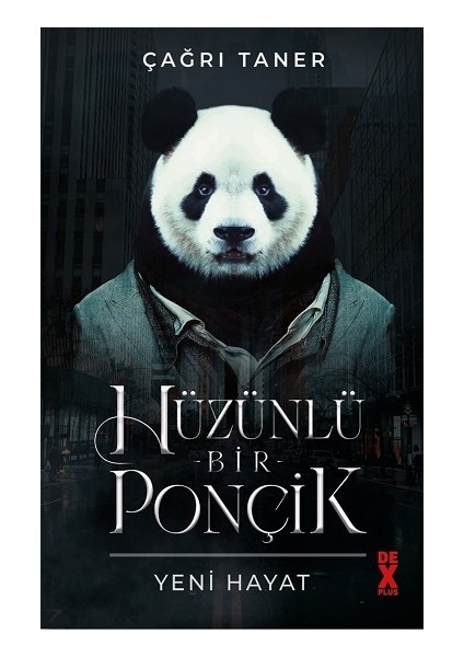 Hüzünlü Bir Ponçik