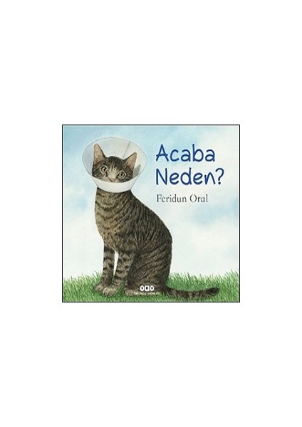 Acaba Neden?