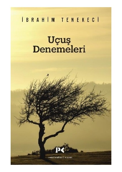 Uçuş Denemeleri