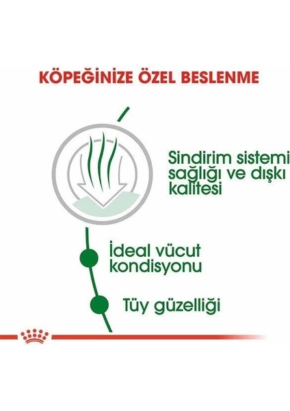 Royal Canin Mini Indoor Adult Yetişkin Köpek Maması 1.5 kg modelleri