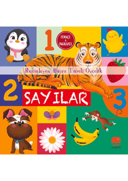 Sayılar (Board Book)
