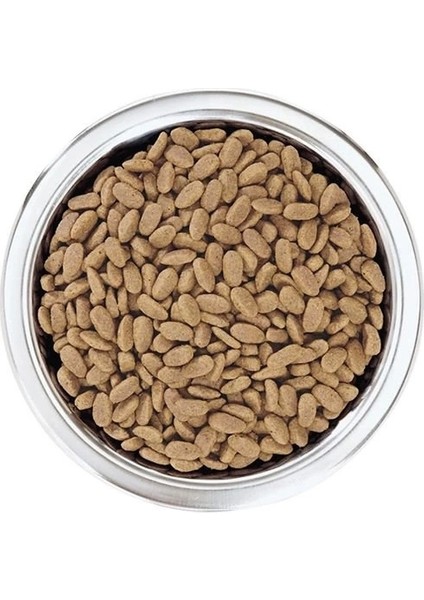 Pro Plan Adult Small Somonlu Yetişkin Köpek Maması 3 kg fırsatları