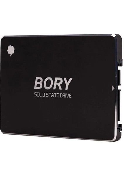 128 GB Bory Sata3 R500-C128G SSD 550/510 Mbs (3 Yıl Garantili) fiyatları