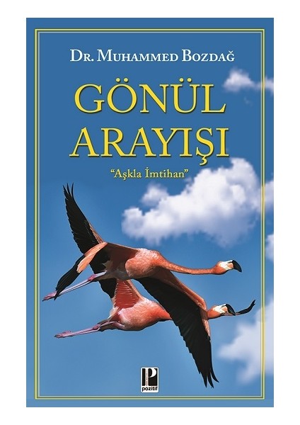 Gönül Arayışı