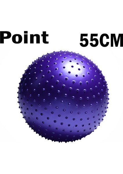 55CM Mor Tarzı Spor Yoga Topları Noktası Fitness Salonu Dengesi Fitball Egzersiz Pilates Egzersizi Dikenli Masaj Topu 55CM 65CM 75CM 85CM (Yurt Dışından)
