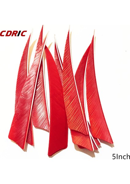 Turuncu Tarzı Inch Right Feather 9coloreld Turkey Feathers Arrow Feather Fletching Ahşapbambucarbon Arrow Okçuluk Için (Yurt Dışından)