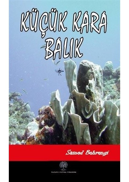 Küçük Kara Balık