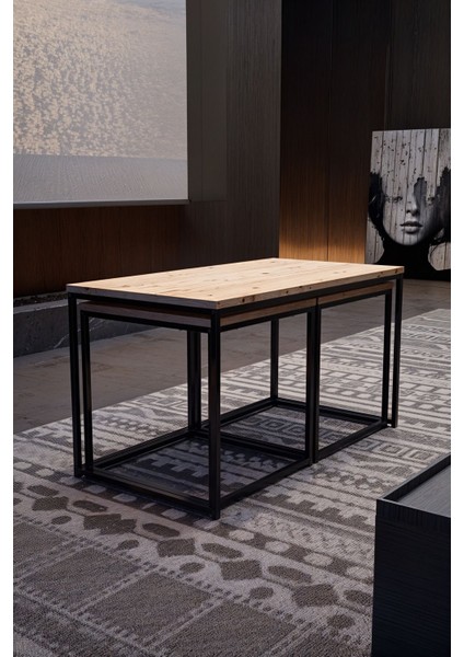 Elora 3'lü Orta Sehpa | Siyah | 90X48X48 cm fırsatları