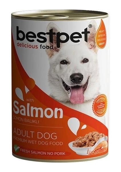 Bestpet Somonlu Jöleli Yetişkin Köpek Konservesi 400 gr