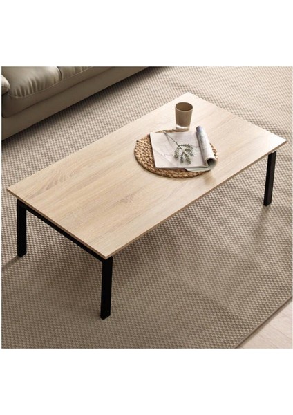 Erlik Orta Sehpa 120X60X35CM