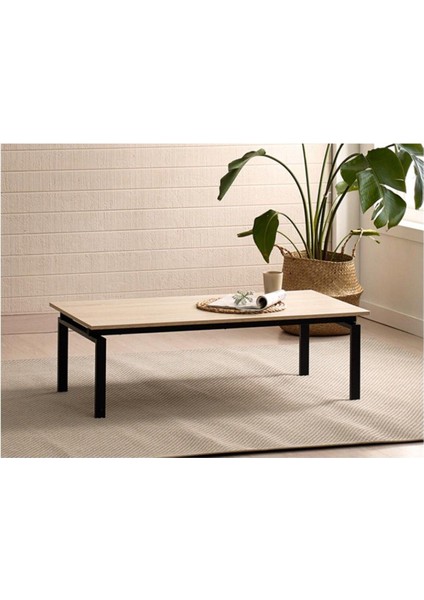 Erlik Orta Sehpa 120X60X35CM