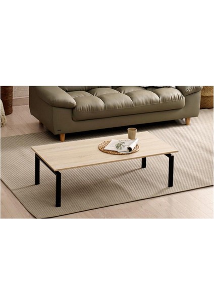 Erlik Orta Sehpa 120X60X35CM
